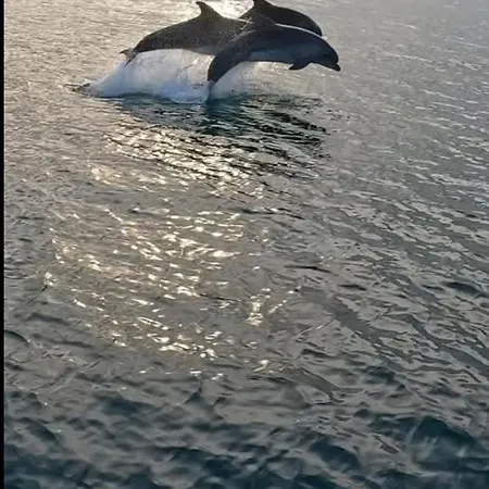 Meraki & Isabellae Apartamento