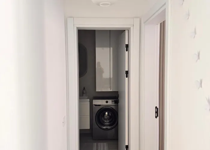 Meraki & Isabellae Navodari