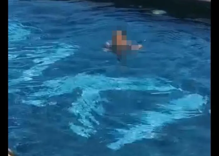 Daire Meraki & Isabellae